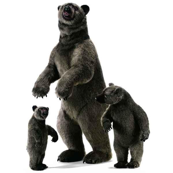 Anima - Peluche grizzly dresse 150 cm -3626