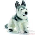 Video Anima - Peluche husky 42 cm -1646