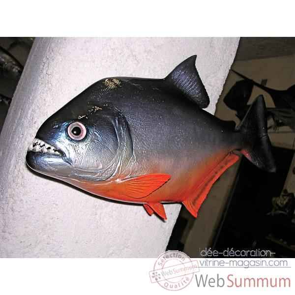 Trophee poisson d\\\'eau douce tropicale Cap Vert Piranha -TR021