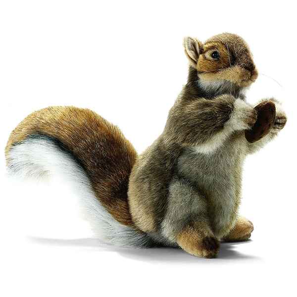 Anima - Peluche ecureuil dresse 23 cm -3745