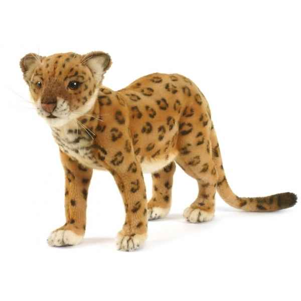 Leopard d\'anatolie 28cml Anima -5189