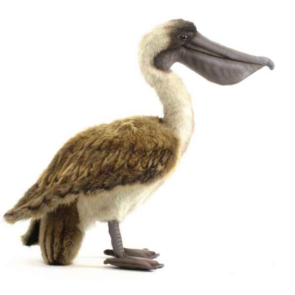 Pelican brun Anima -5847