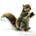 Video Anima - Peluche ecureuil dresse 23 cm -3745