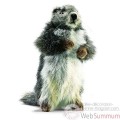 Video Anima - Peluche marmotte 25 cm -3830