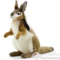 Video Peluche Wallaby - Animaux 5140