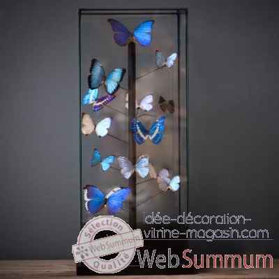 Globe papillons bleus Objet de Curiosite -IN039