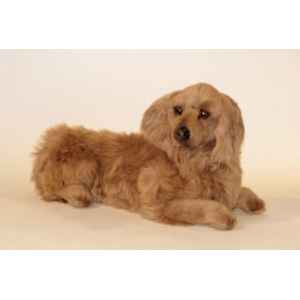 Peluche allongee teckel dachshund, poils longs 60 cm Piutre -2253