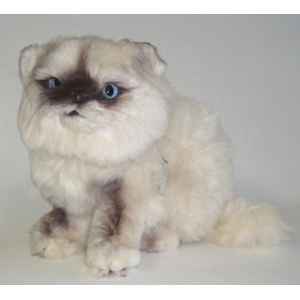 Peluche assise chat persan Colourpoint ou Himalayan 25 cm Piutre -2433