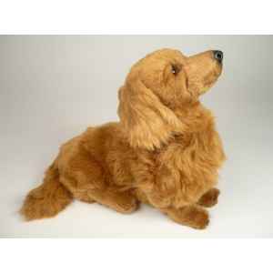 Peluche assise teckel dachshund, poils longs 35 cm Piutre -2254