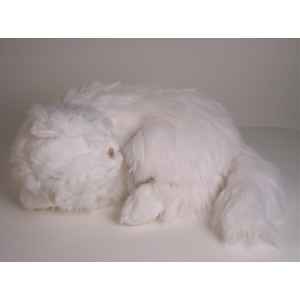 Peluche chat persan blanc dormant 50 cm Piutre -313