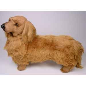 Peluche debout teckel dachshund, poils longs 60 cm Piutre -2251