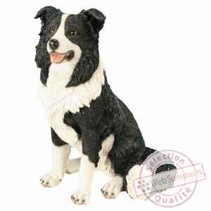 Border collie gm assis 51 cm Riviera system -200363