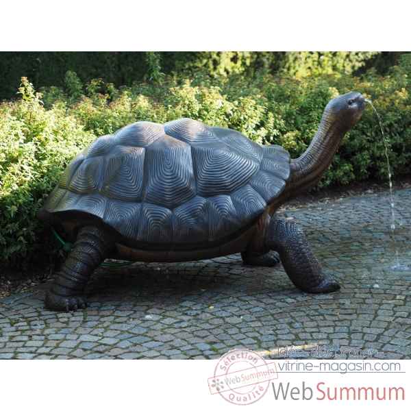 Sculpture tortue galapagos en bronze thermobrass -b1242
