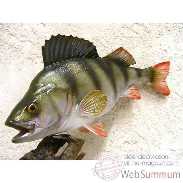 Trophee poisson d\'eau douce Cap Vert Perche -TRDF08