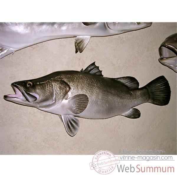 Trophee poisson d\'eau douce tropicale Cap Vert Perche du Nil -TRDF20