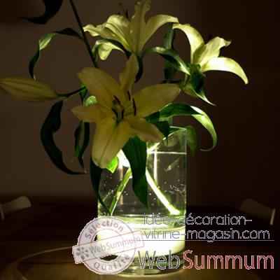 Vase inttérieur avec lumière fleur lampe 29 cm Verre